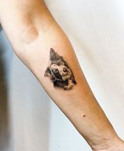 Mirkorealistisches Tattoo. Der Hund in Farbe dargestellt, auf dem Unterarm.