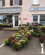 LA FEUILLE D ACANTHE image 1