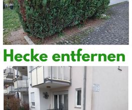 Hecke entfernen
