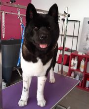 O'poils By Delphine image 3