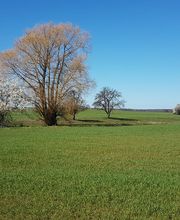 EselWanderHof-Spree-Neiße Bild 5