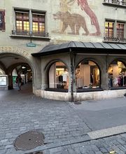 Overall View - Windows (Hero Image)