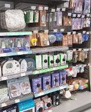 Orchestra LA CHAPELLE SAINT AUBIN image 13