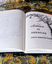 raul martin felix imagen 8