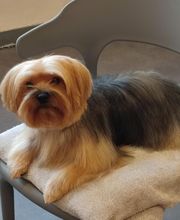 Tootsie image 13