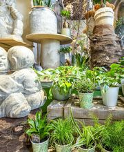 Au Parfum des Fleurs image 11