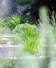 GGZ Gartenbau Bild 7