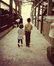 Centre Equestre de Crézancy image 13