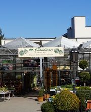 Blumen Eichenberger Oberrieden Bild 10