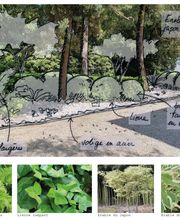 JB Jardins SA Bild 12