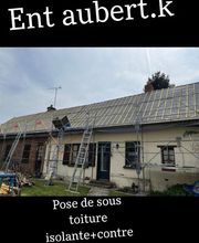 Ent Aubert K image 17