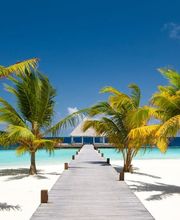 Balmer Nathalie Sàrl Bild 2