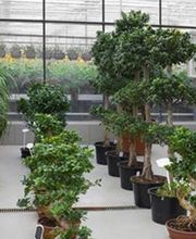 Knab Christian image 1