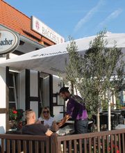 Restaurant Bacchus Bild 2