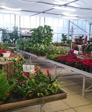 Jardinerie Champs Fleurs image 16