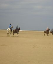 Camping Brasserie les Argousiers image 2