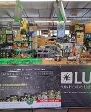 Jungle Paradise image 3