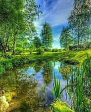 Francois energeticien56 image 5