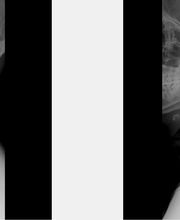 Strong Spine and Body image 19