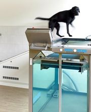 Marigin Tierklinik - 24 Std. Notfalldienst - Zentrum für Tiermedizin Bild 12