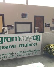 Pagram Oey AG Bild 3