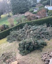 Allrounder-Masters Nezel Bild 3