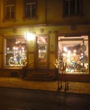 Hamel Selected-Bikes Bild 8