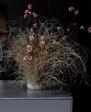 Mona's Flower Marrow e.K. Bild 10