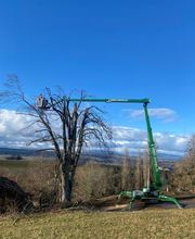 Alain Dutoit Jardinier-Paysagiste Sàrl Bild 6