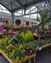 JARDILAND image 8