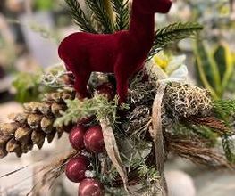 Garten & Floristik Prifling Bild 11