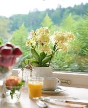 Hotel Morgensonne Bild 3