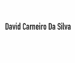 Carneiro Da Silva David image 3
