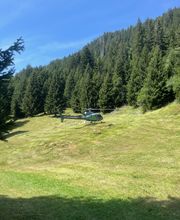 AZIENDA AGRICOLA ARCIONI LUIGI Bild 2