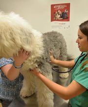 Archer Veterinary Clinic image 10