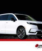 Nippon Autosport GmbH Bild 8