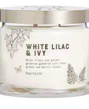 Willer Isabelle Bild 7