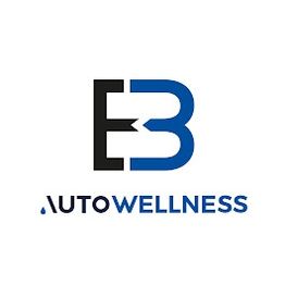 Logo von BEM Autowellness