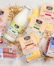 Kaufland Wurzen Bild 3