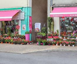GERIN FLEURS image 8
