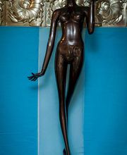 Gallery Professionale