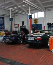 Bratsch British Cars Bild 7