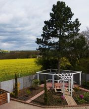 Stark im Garten Bild 43