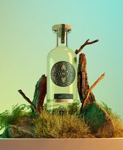 LES TÊTES DE PUB image 1