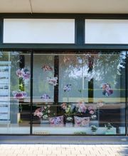 Meister Immobilien-Treuhand Bild 4