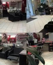 Evolu Tifs 3 image 10