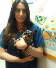 Centro Veterinario Maccauro immagine 6