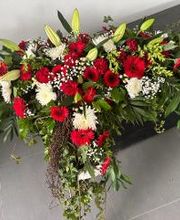 Garten & Floristik Prifling Bild 2