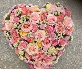 Blumen Petermann Bild 8