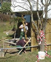 Lang Hans Gartenbau AG Bild 5